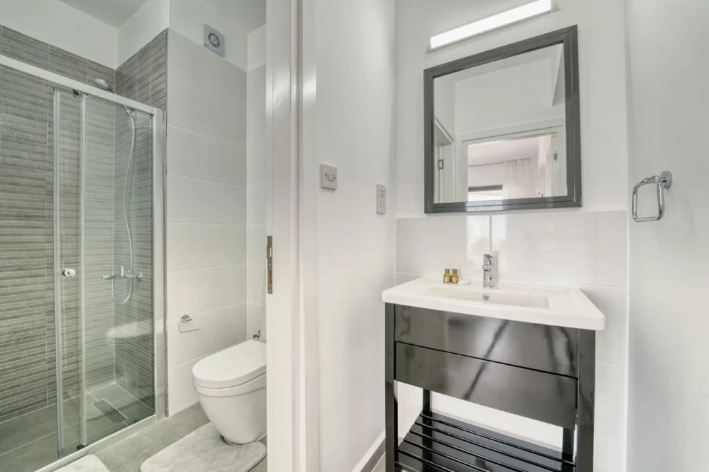 1 BR çatı katı