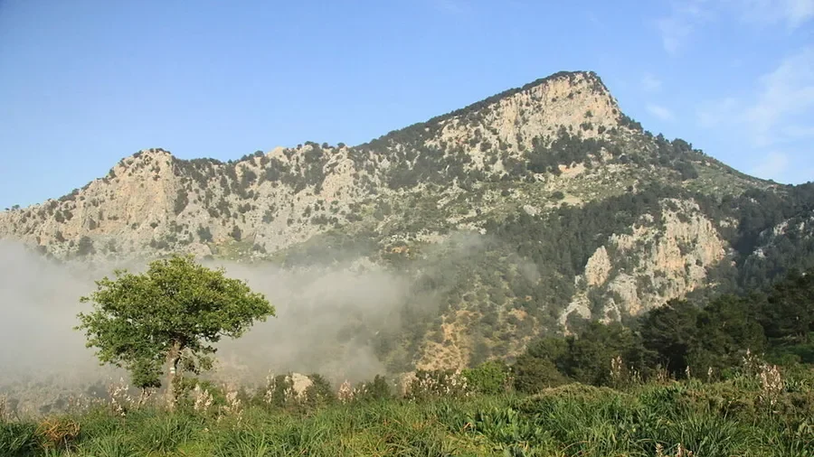 Top 5 atrakcji w Lapta: Co odwiedzić, niezależnie od tego, czy jesteś turystą, czy planujesz przeprowadzkę?