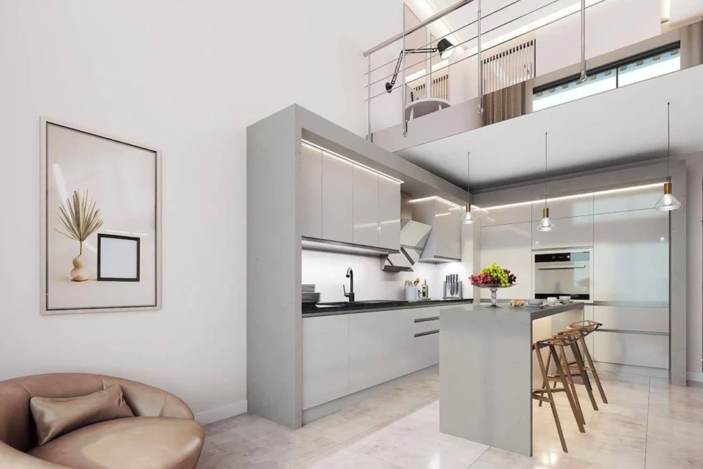 1 BR çatı katı