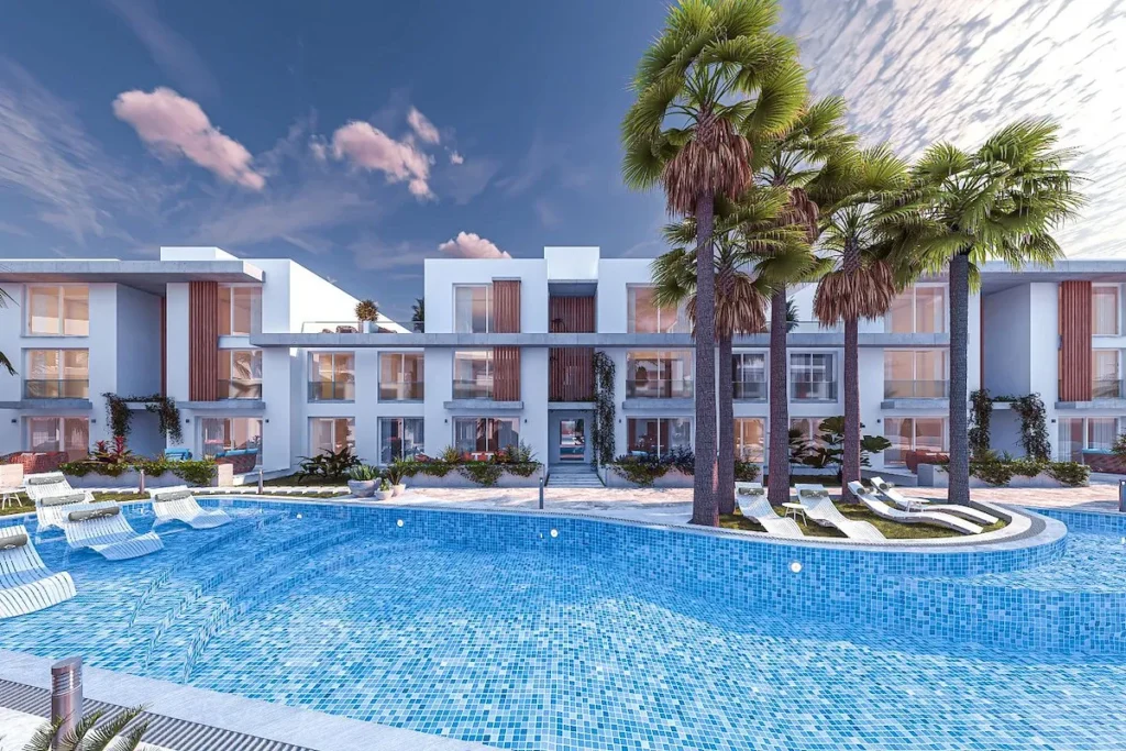 Olive Court 2