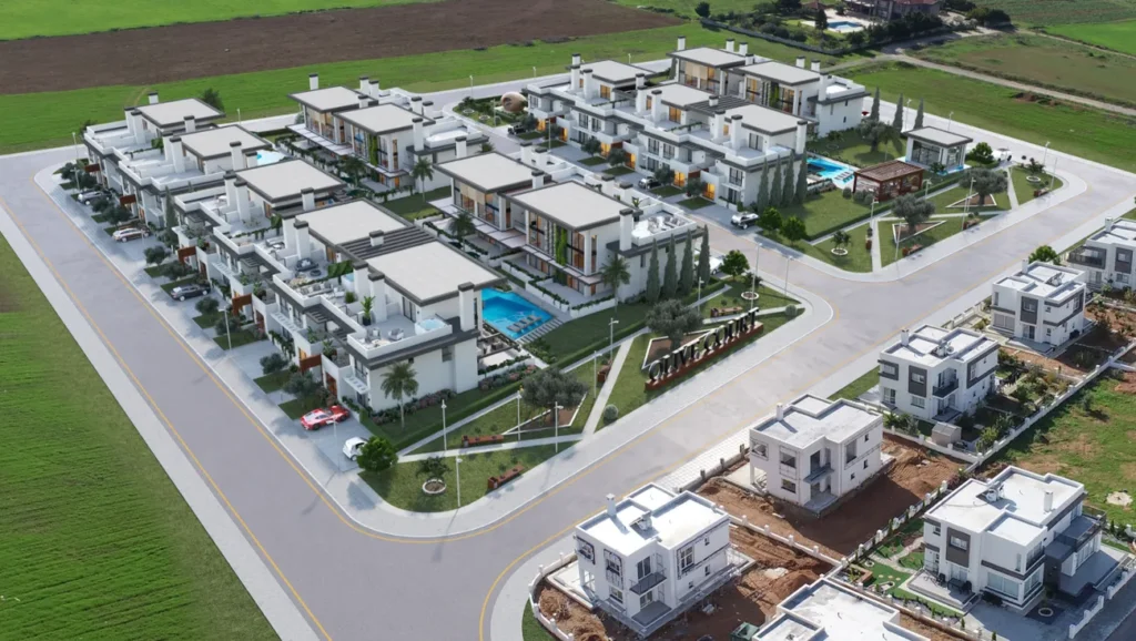 Olive Court